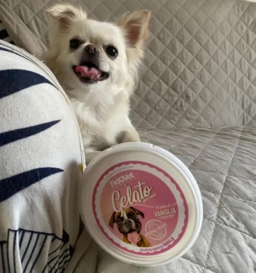 Fidovet koirien jäätelö Gelato vanilja 40g Discount