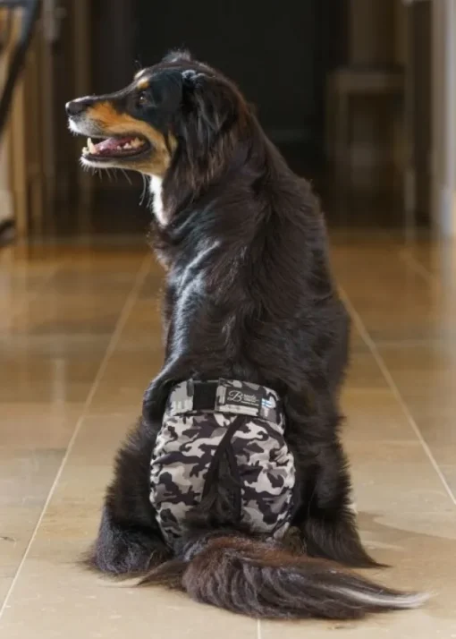 BRENDA narttujen juoksuhousut, XS-S, camo-FinNero Hot