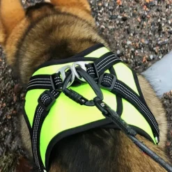 FinNero HALI liivivaljaat, M, musta/keltainen Online