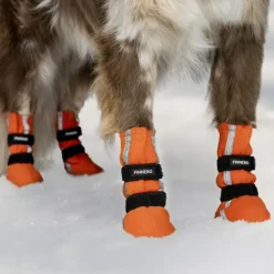 Hundsko HALLA koiran tossut, XL, 4-pack, Reflex Orange-FinNero Best