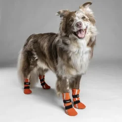 FinNero Hundsko HALLA koiran tossut, XXS-S, 4-pack, Reflex Orange Sale