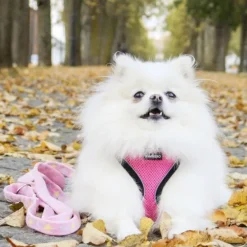 LIGHT Reflective Harness Pink M-FinNero Discount