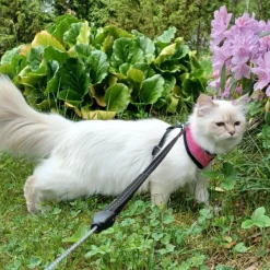 LIGHT Reflective Harness Pink M-FinNero Discount