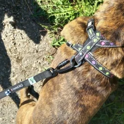 RESCUE luistamaton talutushihna, 1,5 cm, musta-FinNero Hot