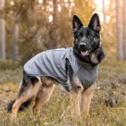 Softshelltäcke Sport Grey 65 cm-FinNero Online