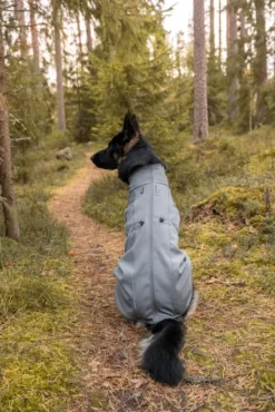Softshelltäcke Sport Grey 65 cm-FinNero Online