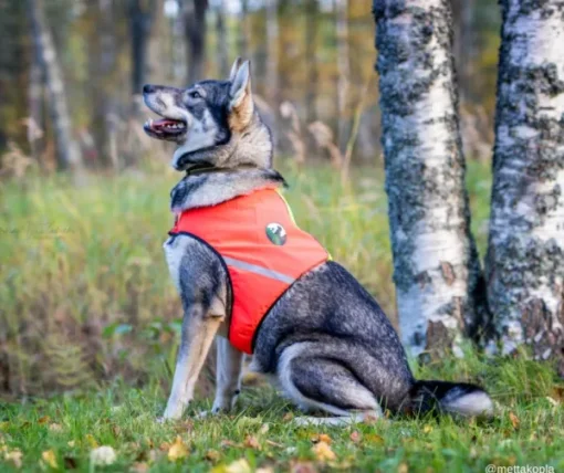 FinNero UKKO huomioliivi, XS, punainen/keltainen New