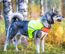 FinNero UKKO huomioliivi, XS, punainen/keltainen New