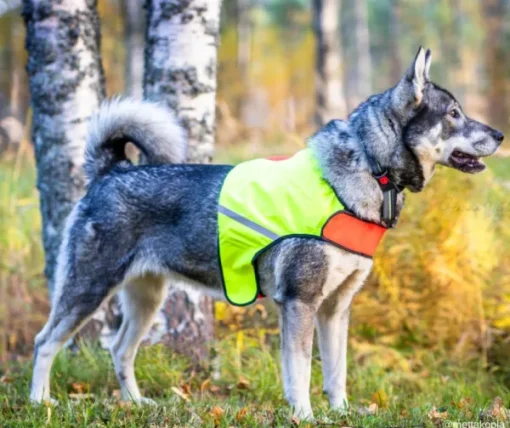 FinNero UKKO huomioliivi, XS, punainen/keltainen New