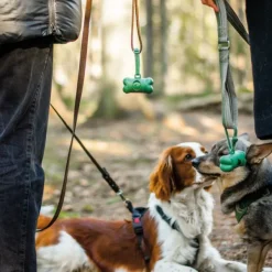 Green Bone Forest pidike + kakkapussirulla, 1 rulla, 15 kpl Online