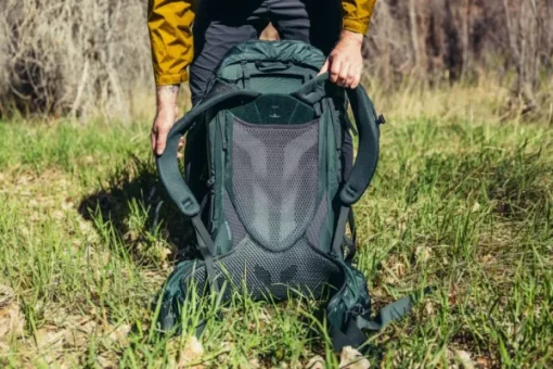 Paragon 40 Cascade Green-Gregory Best