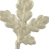 -trofeekoriste, tammenlehti-Grey Oak New