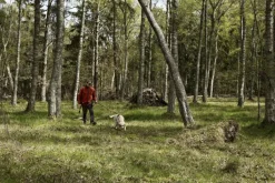 Härkila Kamko Windstopper -fleecetakki, punainen/ruskea Discount