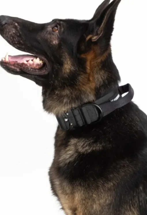 Hundra Tactical Dog Collar with Handle kaulapanta musta M Sale