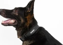 taktinen kaulapanta S-M, musta-Hundra Online