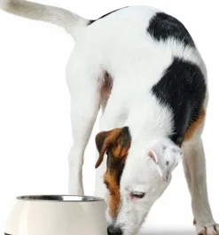 HUNTER Bowl Melamin koirankuppi, 350 ml, White Discount