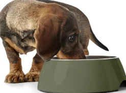 Bowl Melamin koirankuppi, 350 ml, Khaki-HUNTER Discount