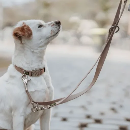 Inari T-Leash koiran talutushihna, 25/200 cm, Tan-HUNTER Best