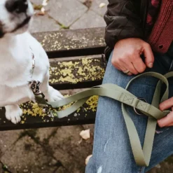 Inari T-Leash koiran talutushihna, 20/200 cm, Linden Green-HUNTER New