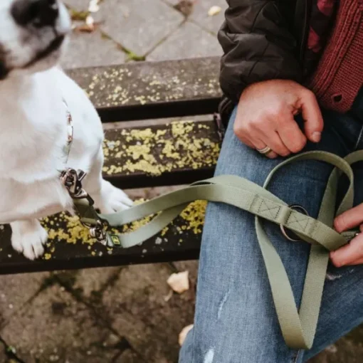 Inari T-Leash koiran talutushihna, 20/200 cm, Linden Green-HUNTER New