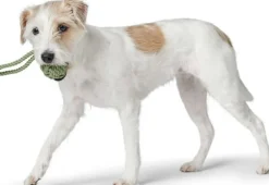 Inari Toy Dog Ball koiran heittolelu, M, Linden Green-HUNTER Hot