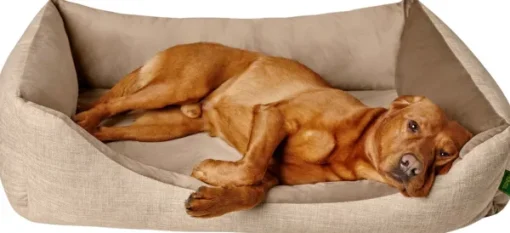 Sofa Orthopedic Seattle koiranpeti, 80x60 cm, Beige-HUNTER Best