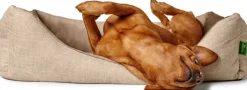 Sofa Orthopedic Seattle koiranpeti, 80x60 cm, Beige-HUNTER Best