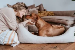 Sofa Orthopedic Seattle koiranpeti, 80x60 cm, Beige-HUNTER Best