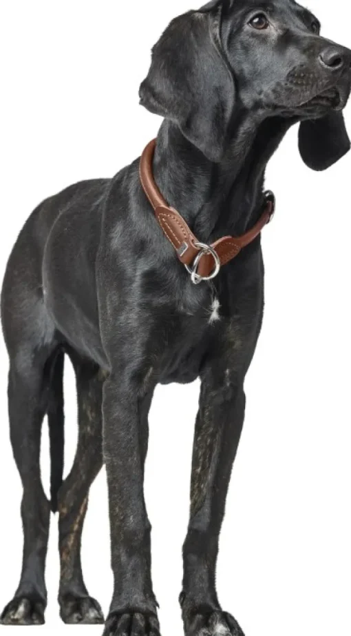 T-Collar R&S Canadian UP puolikuristava kaulapanta, S-M, Black-HUNTER Clearance