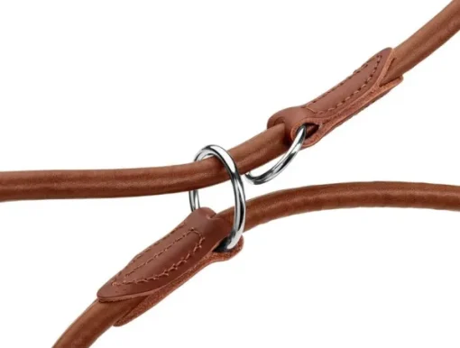 HUNTER T-Leash R&S Canadian UP monitoimihihna, 6/200, Cognac Online