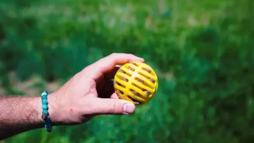 Toy Dog Flingerz Ball Thrower heittovarsi lelulla-HUNTER Online