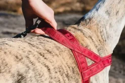 Casual Harness ECO valjaat, 30 - 55 cm, ruskeaoranssi-Hurtta Clearance