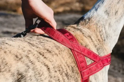 Casual Harness ECO valjaat, 30 - 55 cm, ruskeaoranssi-Hurtta Clearance