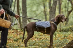 Expedition Pack ECO koiran reppu, 60-80cm, Blackberry-Hurtta Online