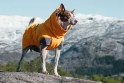 Hurtta Expedition parka, 50 cm, oranssi Discount