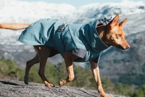 Hurtta Expedition -parka, punajuuri 80 cm Hot