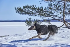 Extreme Warmer III ECO koiran talvitakki, 55-65 cm, Raven-Hurtta Online