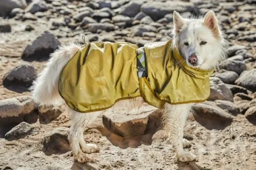 Hurtta Rainwear Mudventure Reflective Coat koiran sadetakki, 55-65 cm, Turmeric Discount