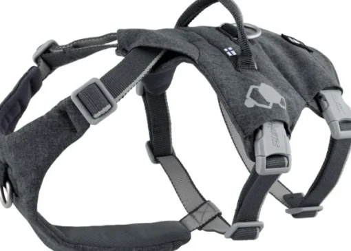 Safeguard ECO Sele valjaat, 75-95cm, Blackberry-Hurtta Clearance
