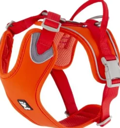 Weekend Warrior Eco vetovaljaat, punaoranssi, 100–120 cm-Hurtta Clearance