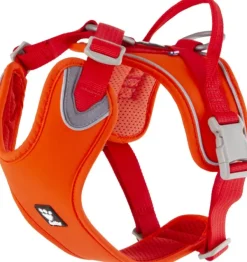Weekend Warrior ECO vetovaljaat, punaoranssi, 80–100 cm-Hurtta Clearance
