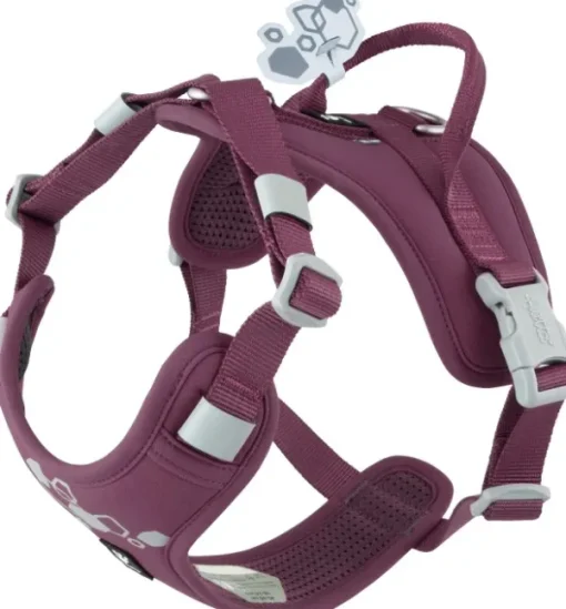 Weekend Warrior II ECO Sele valjaat, 55-70cm, Eggplant-Hurtta Online