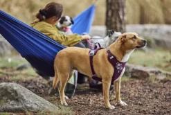 Weekend Warrior II ECO Sele valjaat, 55-70cm, Eggplant-Hurtta Online
