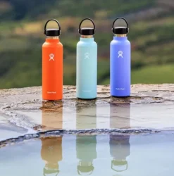 HydroFlask Standard Mouth Flex 532 ml Lupine Hot