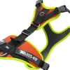 Julius K9 Mantrailing Sele valjaat, XS-S, oranssi Hot