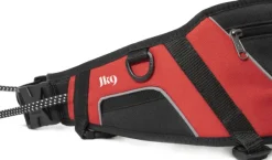 Julius K9 Speed Belt vetovyö, punainen Clearance