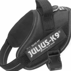 Julius-K9 IDC Mini -valjaat (49-67 cm)-Julius K9 Best