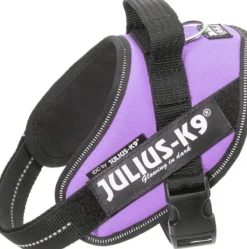 Julius-K9 IDC Mini -valjaat (49-67 cm)-Julius K9 Best