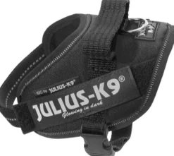 Julius-K9 IDC Mini-mini -valjaat (40-53 cm)-Julius K9 New