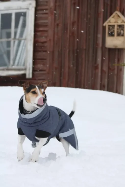 Luosto Dog Winter Jacket koiran talvitakki, 45 cm, harmaa-Kivalo Hot